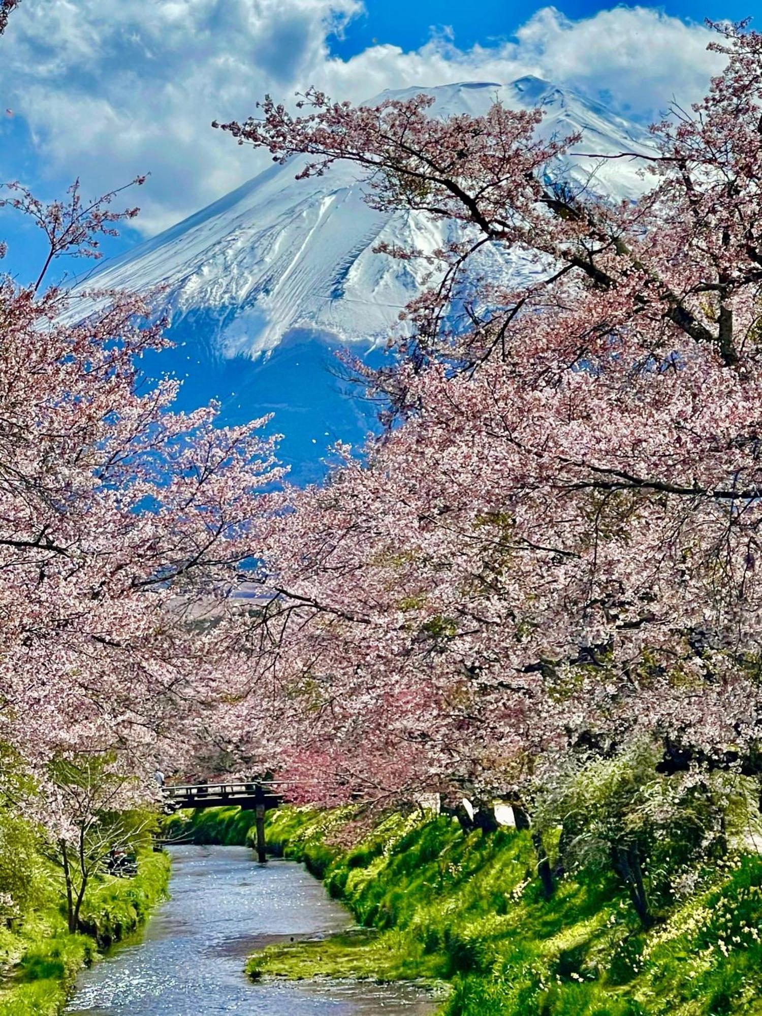 T&T Fujiyama Guest House Фудзі-Йосіда Екстер'єр фото
